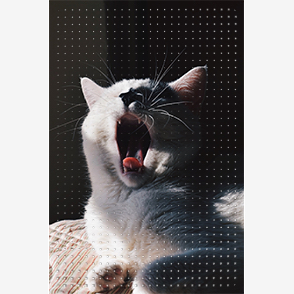 Scodix Postcards